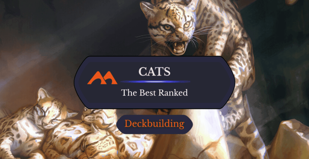 The 41 Best Cats in Magic Ranked