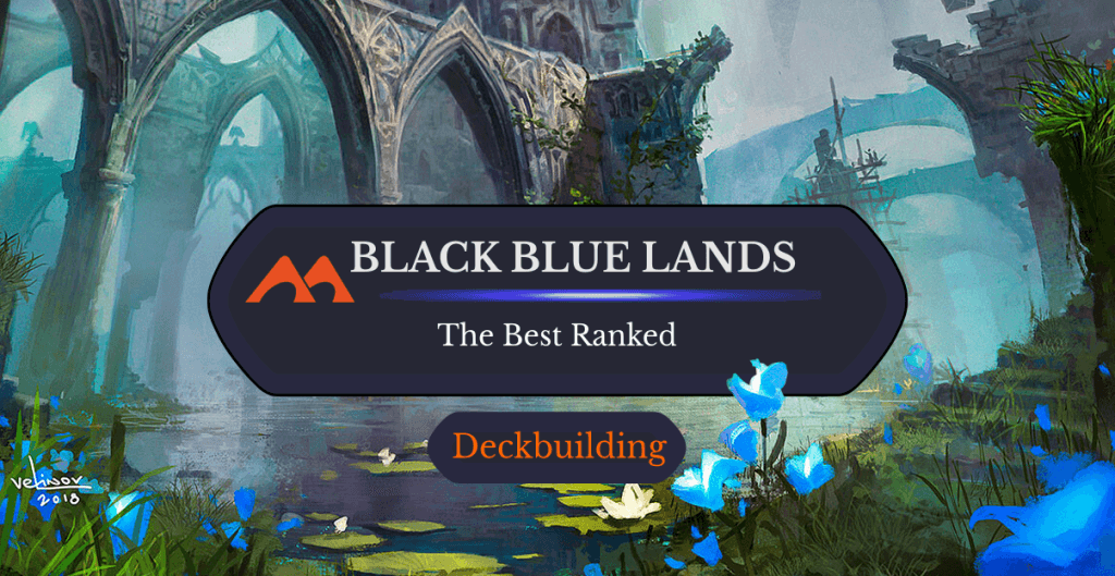 The 25 Best Black Blue (Dimir) Lands in Magic