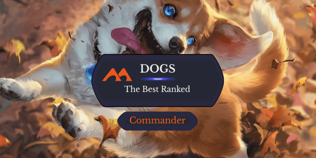 The 34 Best Dogs in Magic Ranked
