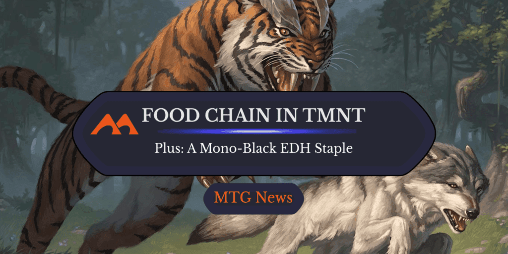 $40 Infinite Combo All-Star Slips Through in Latest TMNT Leak