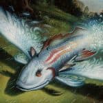 Revisiting Classic Lorwyn Block Elementals with Lift