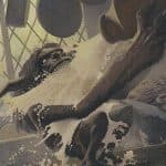 The Top 10 Most Played Persist Cards in Commander