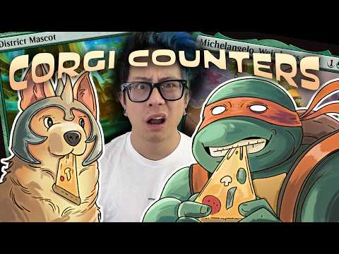 A Corgi's Best Friend is a Mutated Turtle